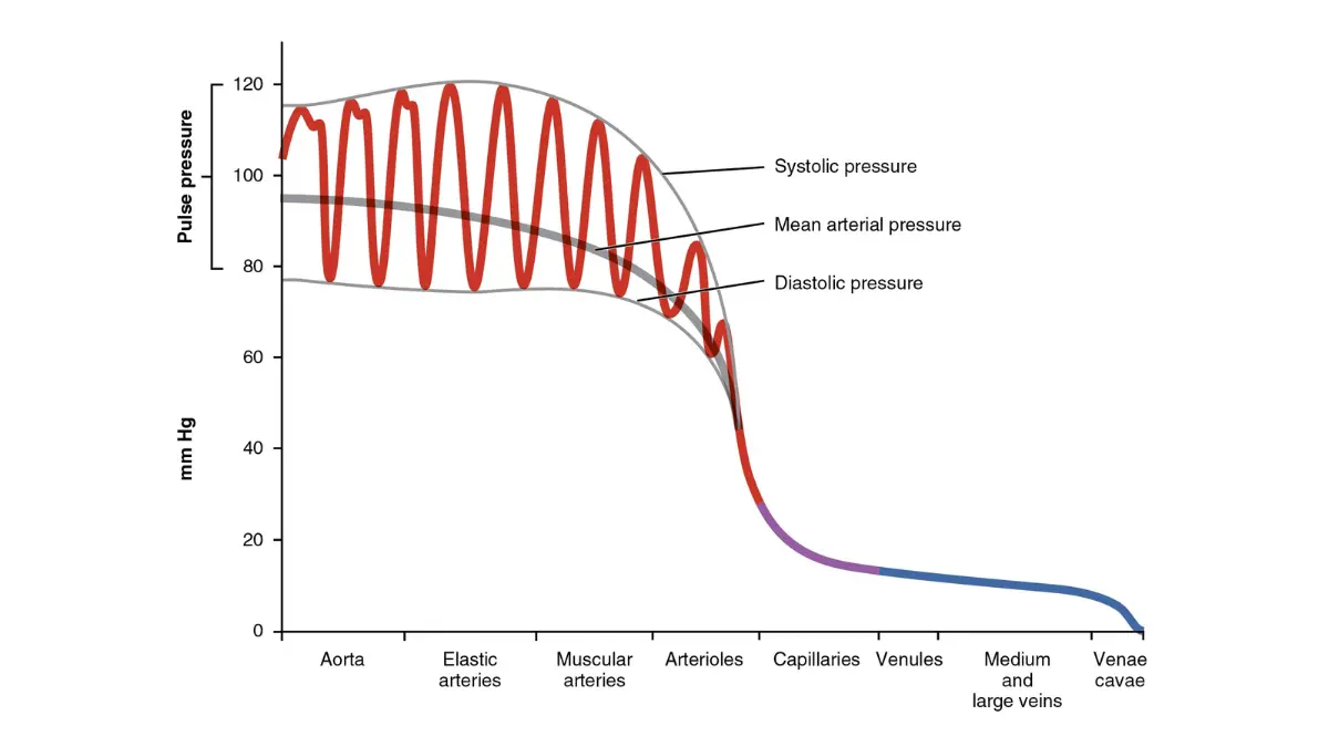 A clinical chart marking typical physiological variations to prevent panic while waiting for blood test results.