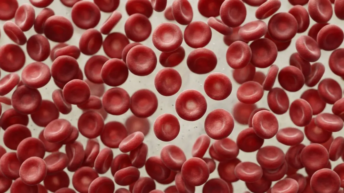Glucose vs A1C showing realistic red blood cells under laboratory microscopy