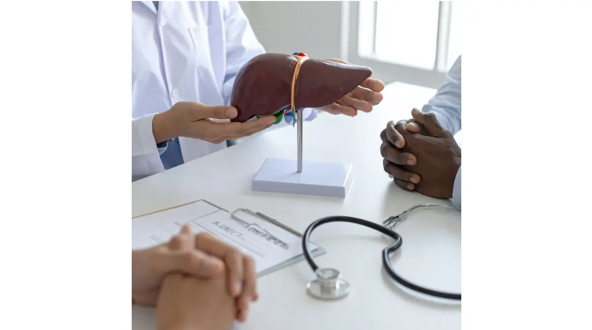 Clinician explaining ALT and AST liver enzymes with an anatomical liver model during a MASLD education appointment.